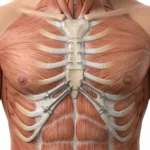 Osteotomía guiada de pectus excavatum a la medida